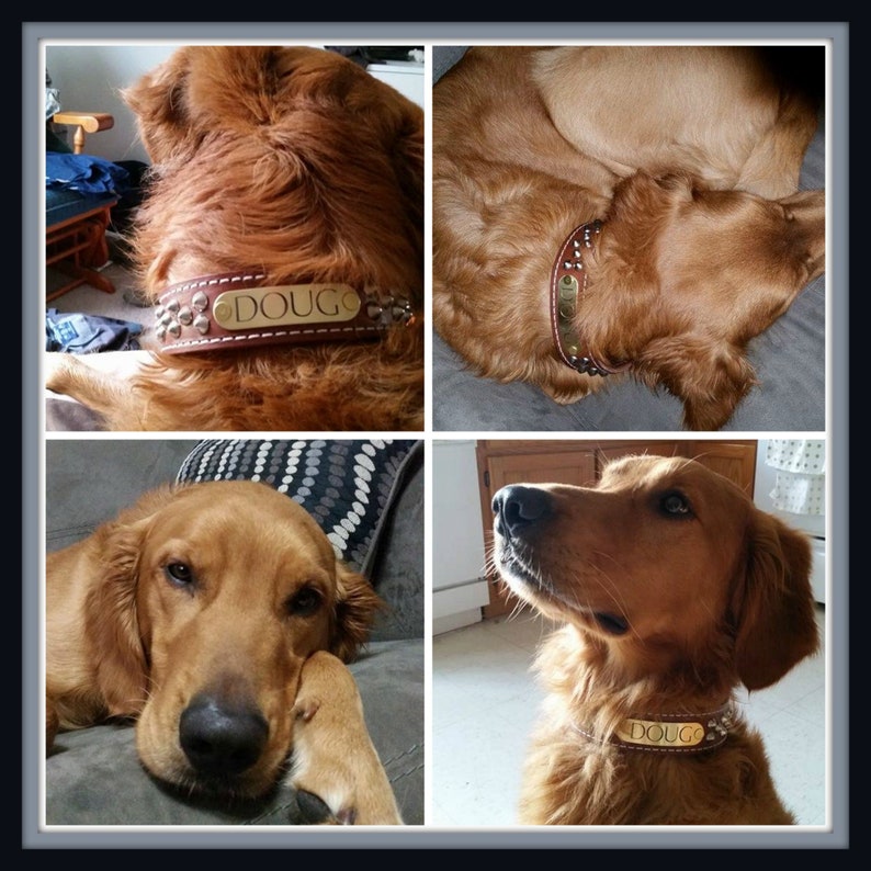 Personalized Dog Collar With Name Wide Dog Collar Fashion Etsy