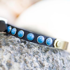 May include: A black leather cat collar with blue gemstone accents. The collar has a gold metal buckle.