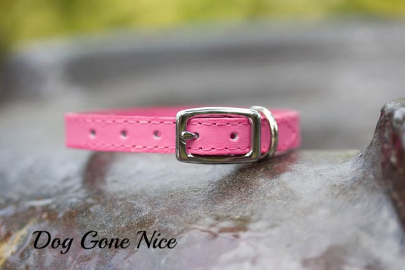 Leather Dog Collar Personalized, Wedding Dog Collar, Marry Me, Proposal Collar, Wedding, Engagement Pet Collar, Bridal Dog Collar image 3