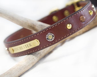 Jachthalsband, jachthalsband, Winchester-halsband, leren hondenhalsband, puppyhalsband, hondenhalsband leer, 1 inch breed
