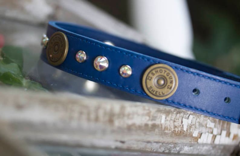 Blue Leather Dog Collar Hunting Dog Collar Shotgun Shell Dog Etsy