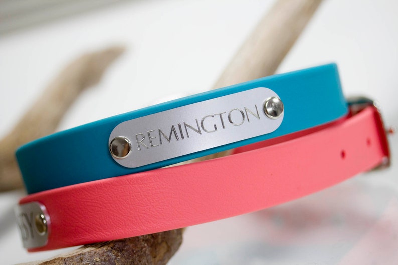 Waterproof Dog Collar w Engraved NAMEPLATE Stink Proof Dirt Etsy