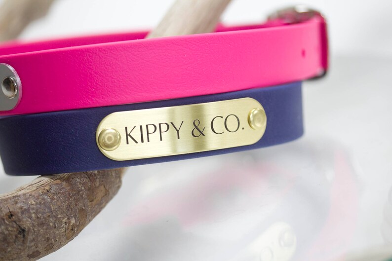 Waterproof Dog Collar W Engraved NAMEPLATE Stinkproof Dirt Etsy