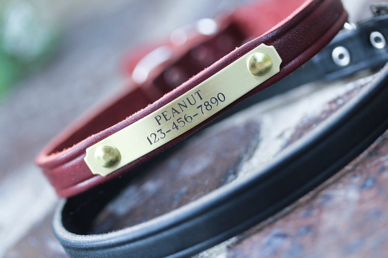 May include: A red leather dog collar with a brass name tag that reads "PEANUT 123-456-7890".