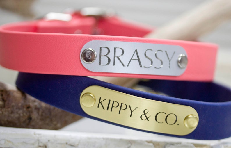 Waterproof Dog Collar Personalized Collar Rot Resistant Etsy