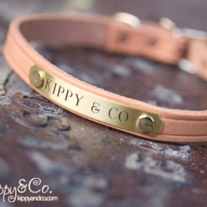 May include: A light brown leather dog collar with a gold metal plate engraved with the text "Kippy & Co."