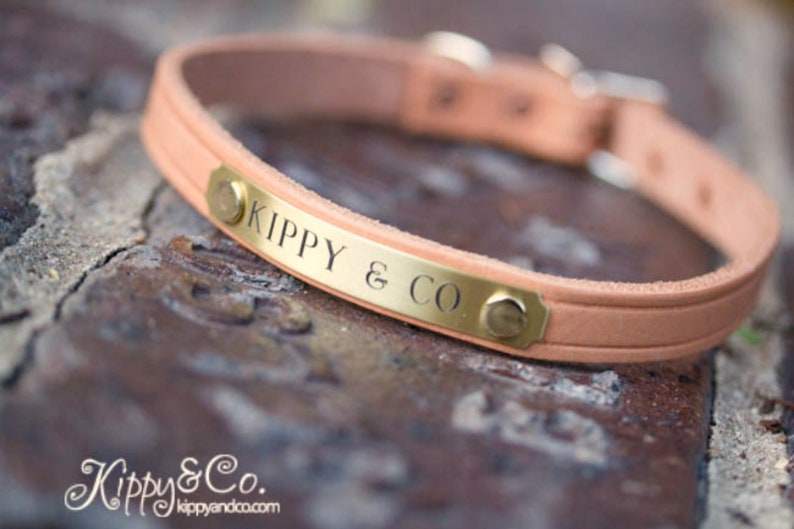 May include: A light brown leather dog collar with a gold metal plate engraved with the text "Kippy & Co."