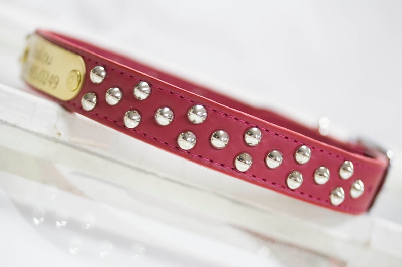 personalized goat collars