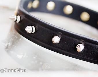 Personalized Spike Leather Dog Collar, Custom Name Plate