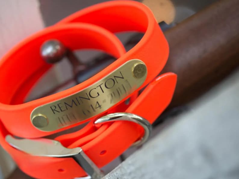 Blaze Orange Wasserdichtes Jagd-Hundehalsband - Personalisiertes Namensschild mit Gravur - Gut sichtbare Biothane - Handgefertigt in den USA - Geruchssicher Bild 1