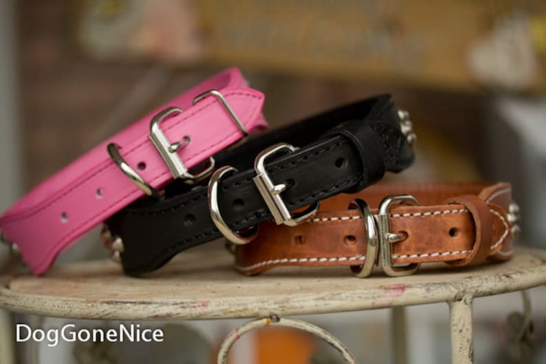 Personalized Dog Collar With Name Wide Dog Collar Fashion Etsy