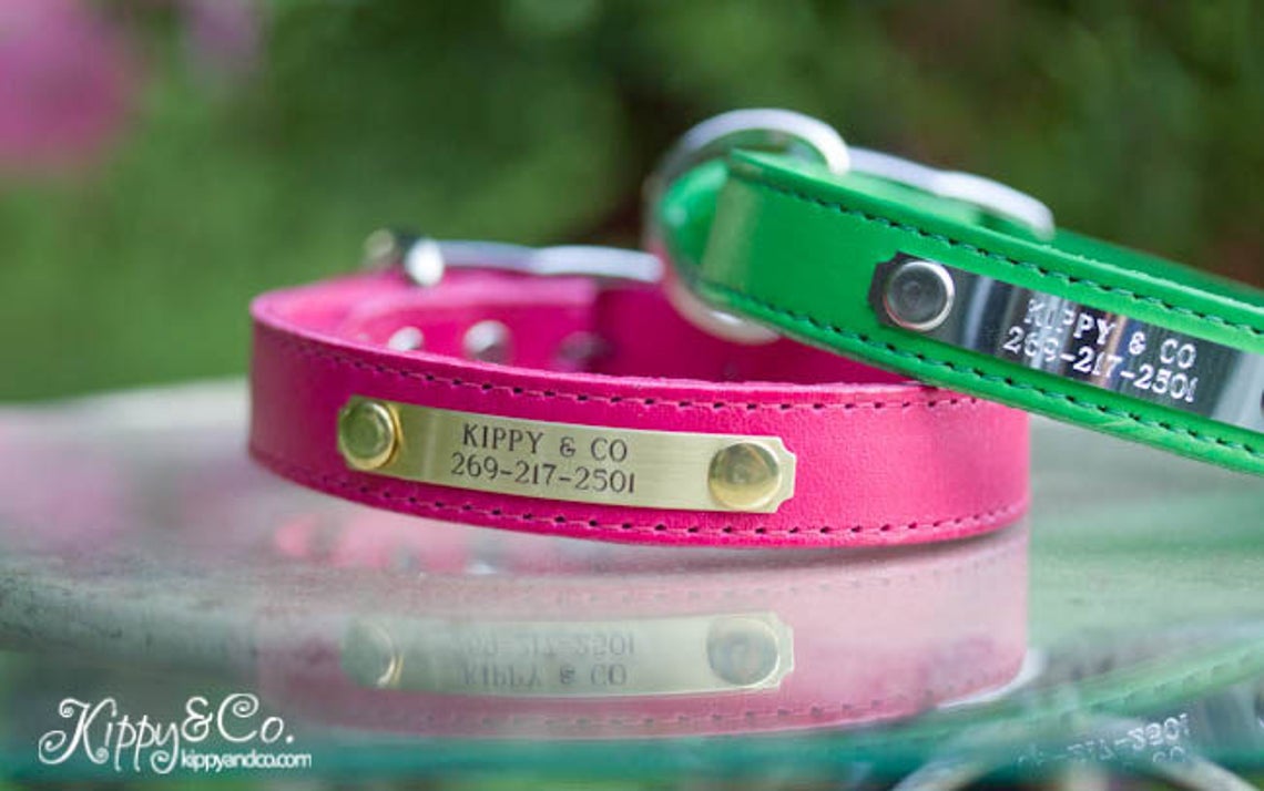Leather Dog Collar With Name Id Collar for a Puppy Etsy