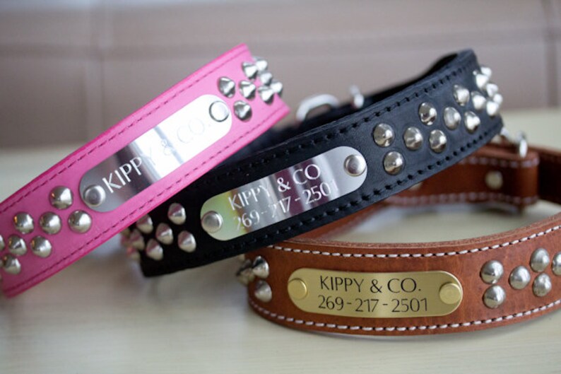 Personalized Dog Collar With Name Wide Dog Collar Fashion Etsy