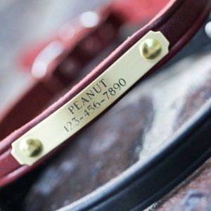May include: A red leather dog collar with a brass name tag engraved with "PEANUT 123-456-7890".