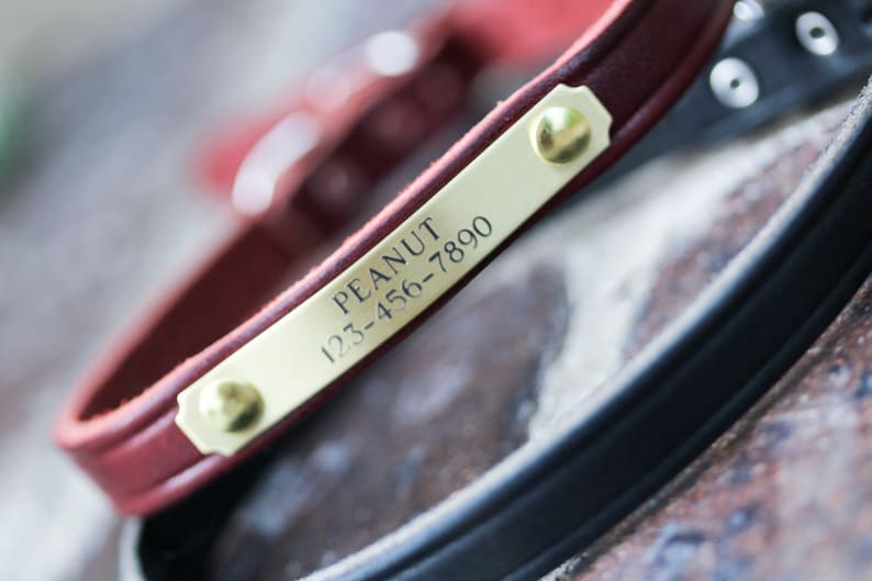May include: A red leather dog collar with a brass name tag engraved with "PEANUT 123-456-7890".