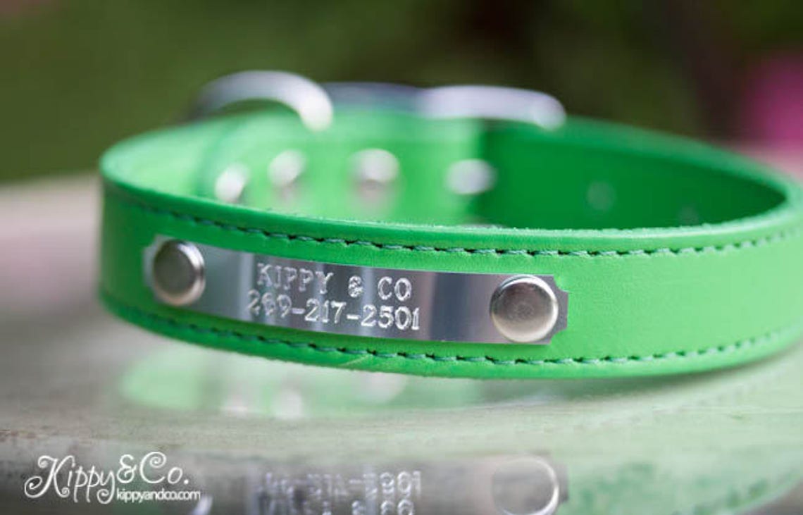 Leather Dog Collar With Name Id Collar for a Puppy Etsy