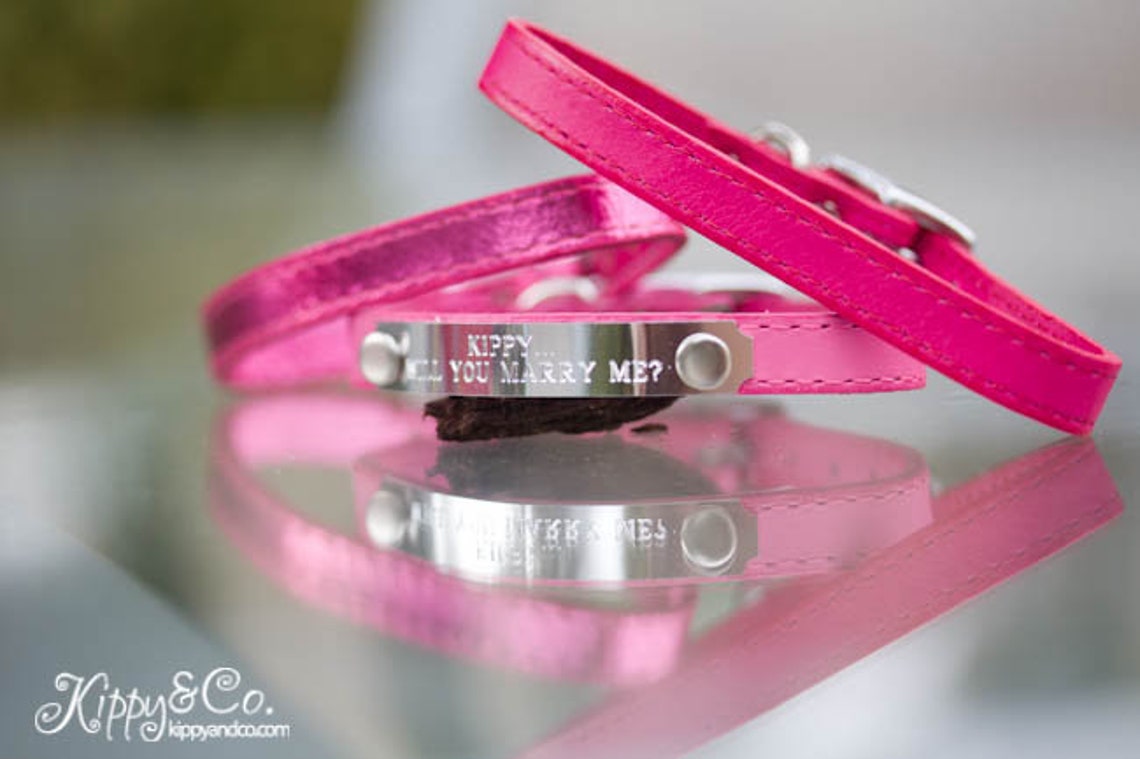 Cat Collar Leather Cat Collar Small Cat Collar Cat Collar Etsy