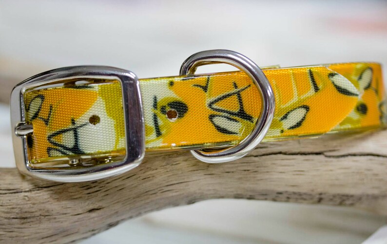 Camo Collar Waterproof Dog Collar Vegan Leather Etsy