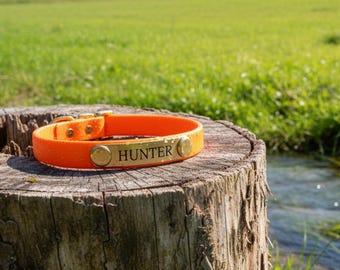 Collar de biotano naranja neón para perros / Collar de caza impermeable, placa con nombre grabada