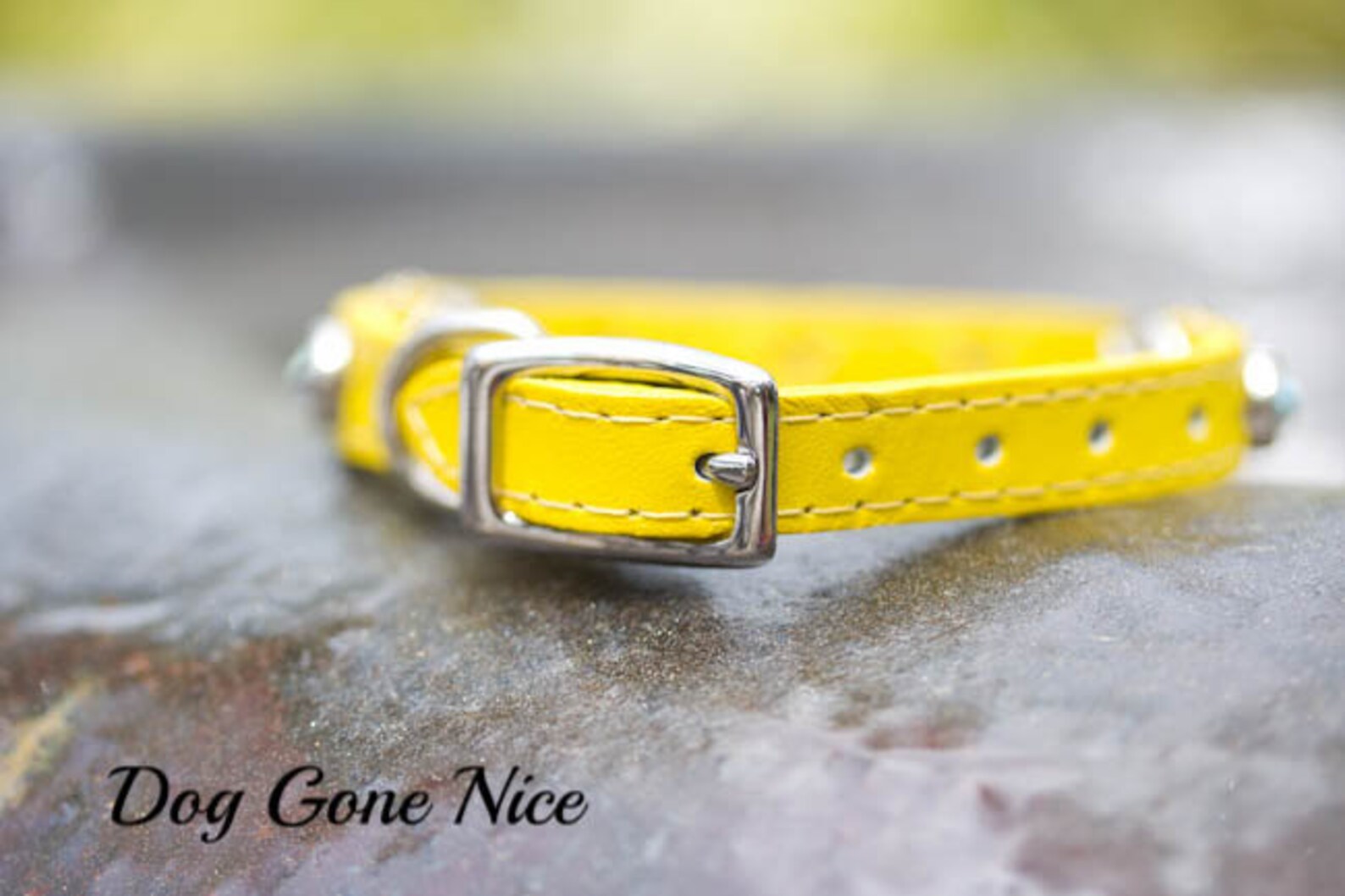 Small Personalized Leather Dog Collar Small Dog Collar Etsy