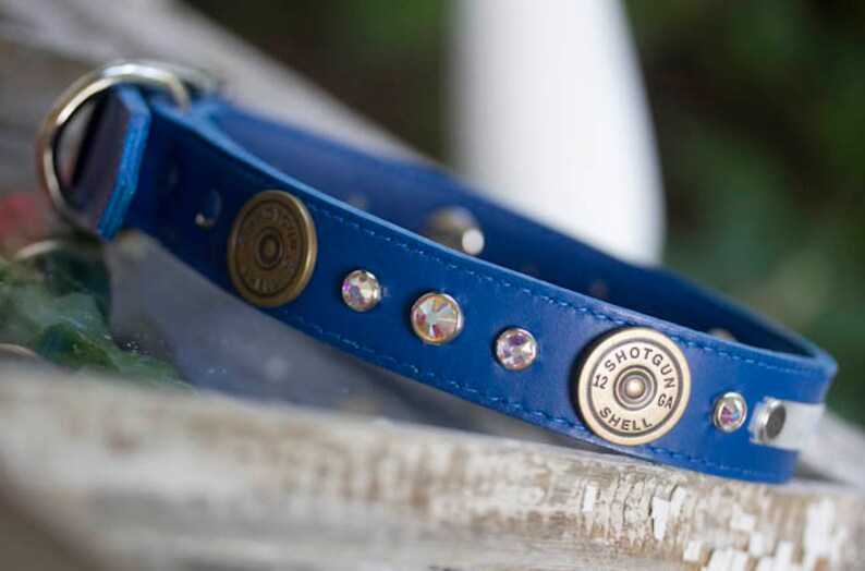 Blue Leather Dog Collar Hunting Dog Collar Shotgun Shell Dog Etsy