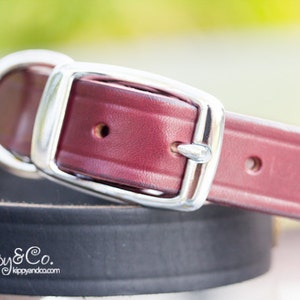 Leather Dog Collar, Black Leather Dog Collar, Personalized Leather Collar, 1 inch wide, Studded Collar Dog, Soft Leather Collar, Dog Collar image 3