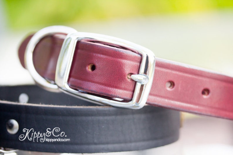 Leather Dog Collar, Black Leather Dog Collar, Personalized Leather Collar, 1 inch wide, Studded Collar Dog, Soft Leather Collar, Dog Collar image 3