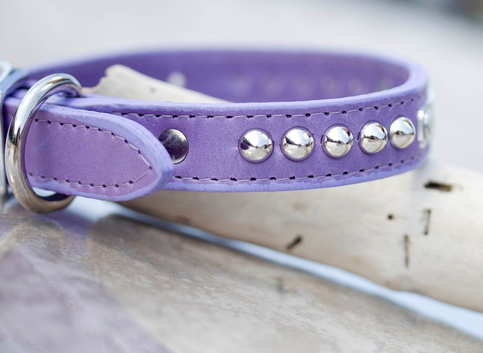 Leather Dog Collar Lavender Puppy Collar Personalized Etsy