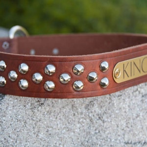 Big Dog Cone Stud Dog Collar, Personalized Leather Dog Collar, Studded Leather Dog Collar, Pit Bull Dog Collar image 1