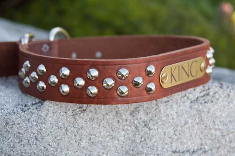 Big Dog Cone Stud Dog Collar, Personalized Leather Dog Collar, Studded Leather Dog Collar, Pit Bull Dog Collar image 1