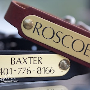 Leather Dog Collar with Name Plate, Personalized Leather Collar, Bridal Dog Collar, Leather Dog Collar, Wedding Dog Collar, Dog Collar