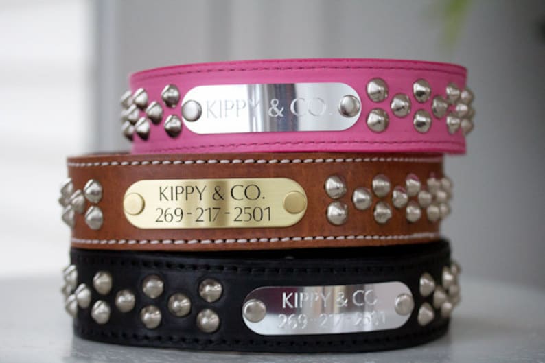 Personalized Dog Collar With Name Wide Dog Collar Fashion Etsy
