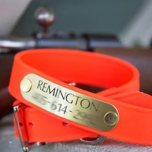 Blaze Orange Wasserdichtes Jagd-Hundehalsband - Personalisiertes Namensschild mit Gravur - Gut sichtbare Biothane - Handgefertigt in den USA - Geruchssicher Bild 5