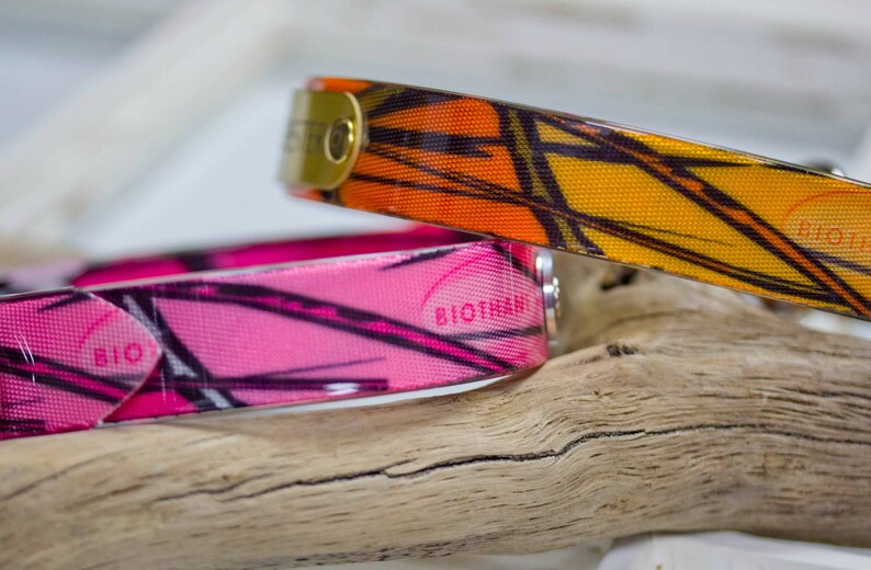 Bright Orange Hunting Dog Collar With Personalized Name Plate Etsy