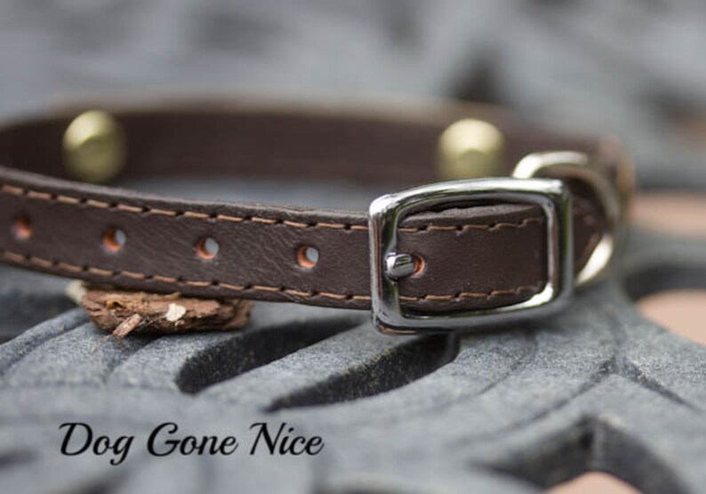 Chihuahua Dog Collar Personalized 12 Gauge Leather Collar 12 Etsy