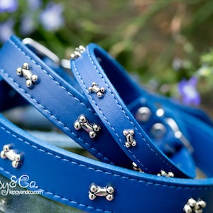 May include: A close-up of a blue dog collar and leash set. The leather collars are adorned with silver-colored bone-shaped studs. The set is displayed against a blurred background of greenery and flowers.