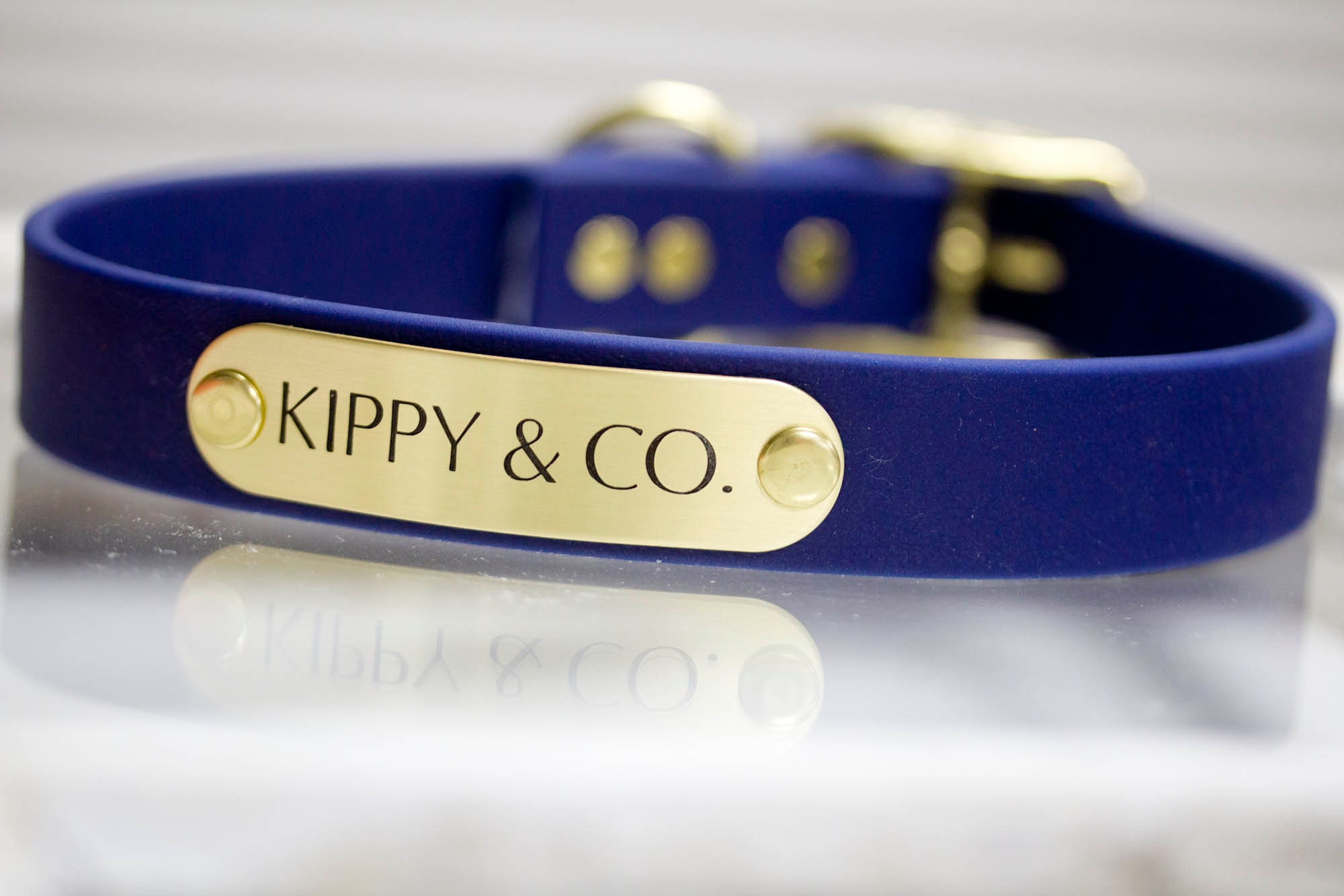 Waterproof Dog Collar w Engraved NAMEPLATE StinkProof Dirt Etsy
