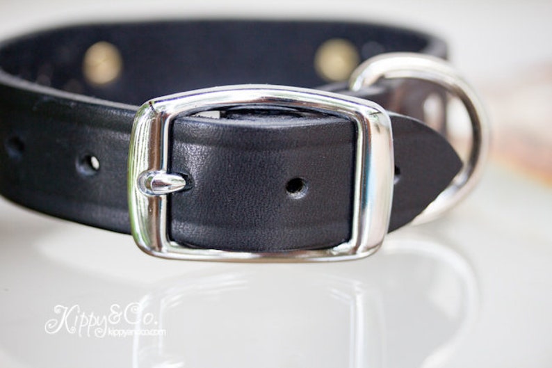 Leather Dog Collar, Black Leather Dog Collar, Personalized Leather Collar, 1 inch wide, Studded Collar Dog, Soft Leather Collar, Dog Collar image 6