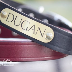 Engraved leather dog collar, Personalized dog collar, Personalized leather dog collar, cat collar, leather cat collar, personalized collar