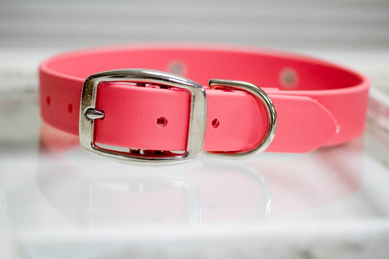 Sporting Dog Hunting Dog Swimming Collar Leather Alternative StinkProof Dirt Resistant Waterproof Dog Collar w Engraved NAMEPLATE