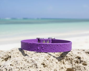 Kippy and Co. | Personalized Waterproof Dog Collars, Engraved BioThane Gear, & Adventure Pet Accessories