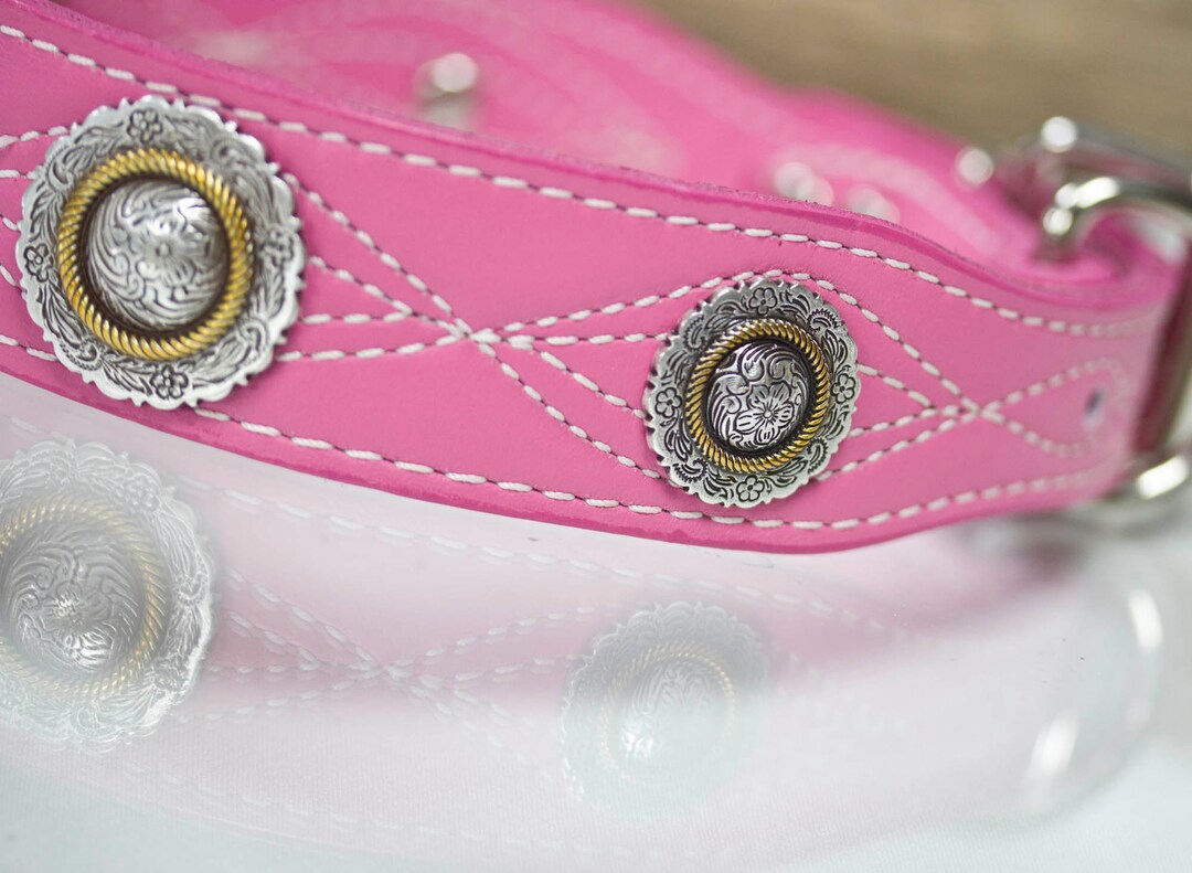 Leather Dog Collar Concho Dog Collar Big Dog Collar Collar Etsy