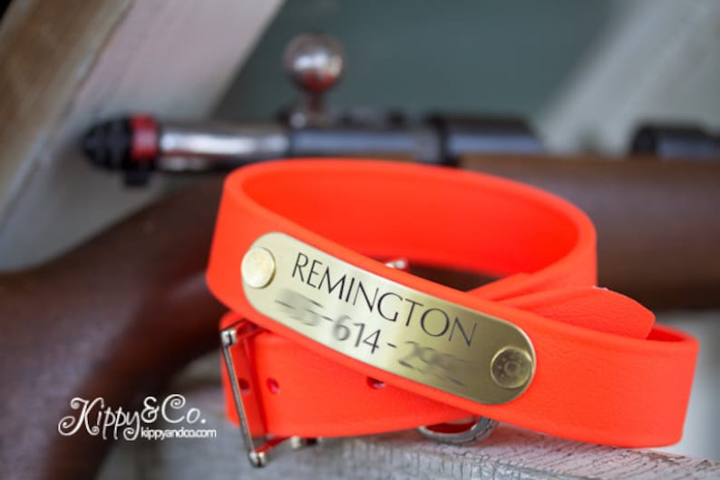 Bright Orange Hunting Dog Collar With Personalized Name Plate Etsy