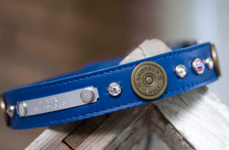 Blue Leather Dog Collar Hunting Dog Collar Shotgun Shell Dog | Etsy