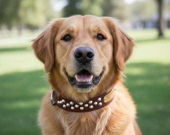 Personalisierte Nieten Leder Hundehalsband, breites braunes geöltes Halsband