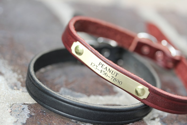 May include: A red leather dog collar with a brass name tag that reads "PEANUT 123-456-7890".