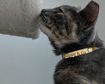 Cat Collar, Leather Cat Collar, Small Cat Collar, Cat Collar with Name, Kitten Collar, Collar for Kitten, Kitty Collar with name, chihuahua