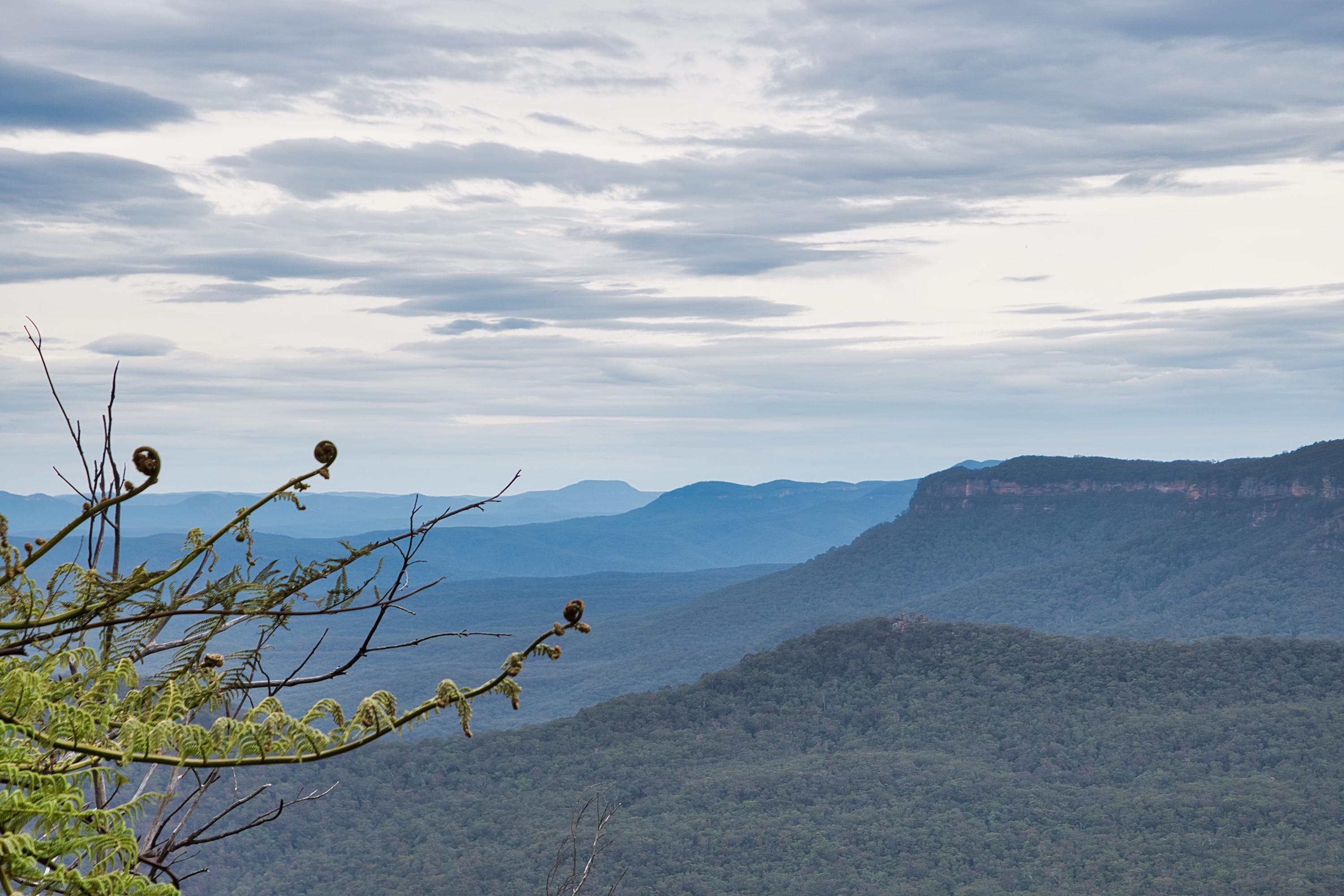 Jamieson Valley, Blue Mountains, New South Wales - Nature Photography - Fine Art - Digital Print - Digital Download - Wall Art - Home Decor