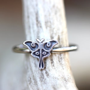 May include: A silver ring with a detailed moth design. The moth is centered on the ring and has a delicate, intricate design.