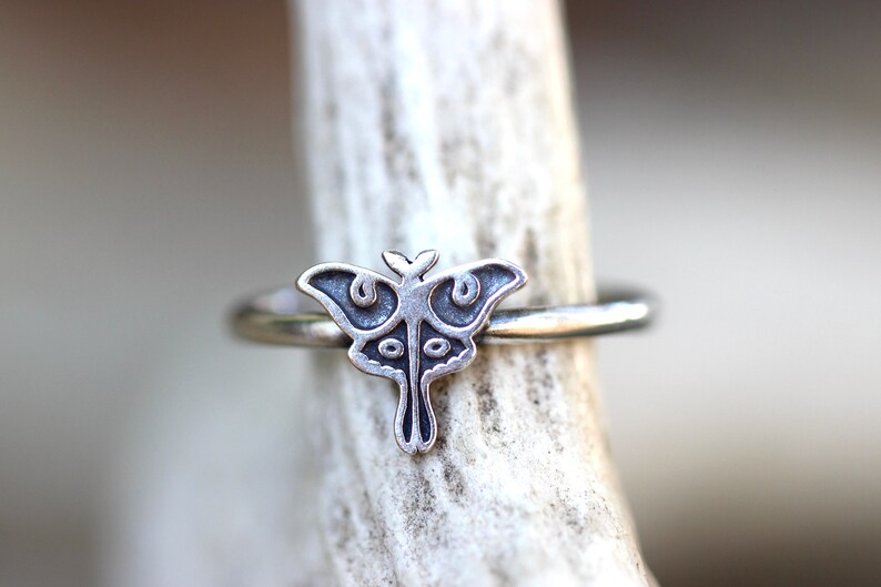 May include: A silver ring with a detailed moth design. The moth is centered on the ring and has a delicate, intricate design.